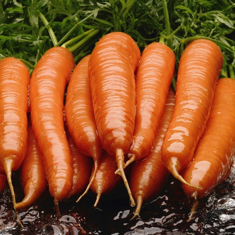 Pulbere de morcovi Pulbere de morcovi